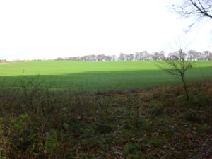 CTF-Seefeld 2008 239
